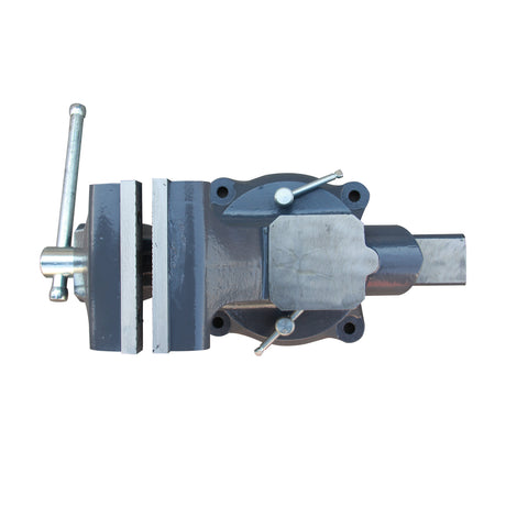 KANG Swivel Bench Vice AVS-150 with Anvil