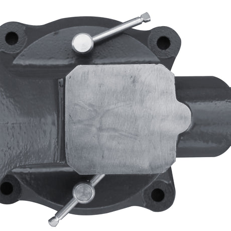 KANG Swivel Bench Vice AVS-150 with large anvil