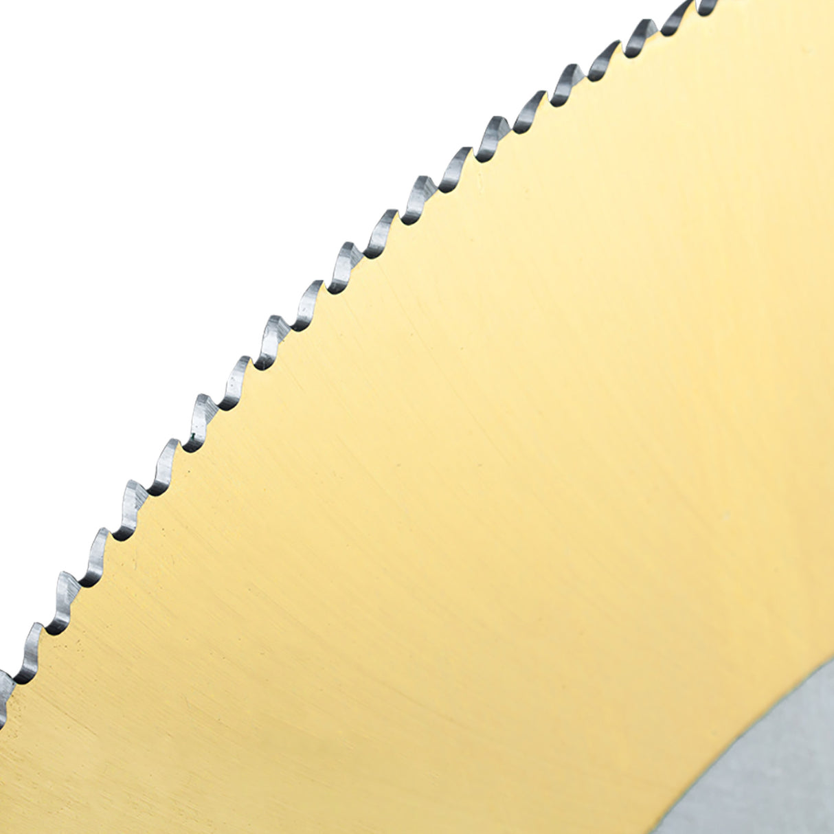 Spare Cold Saw Blade